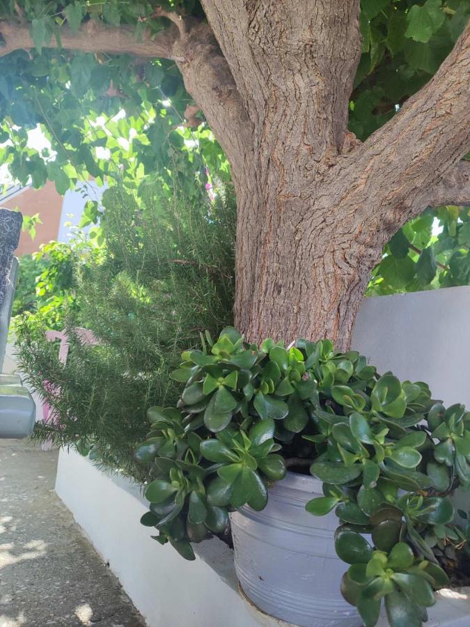 Yannis Apartments Georgioupoli Buitenkant foto